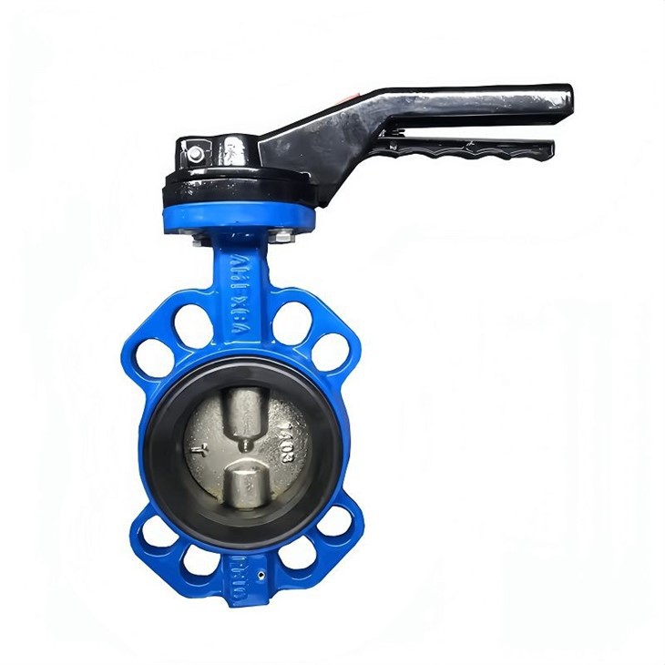 butterfly valve 2